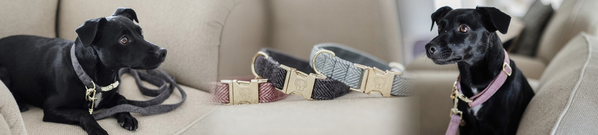 Katten En Honden Benodigdheden 19 Katten En Honden Benodigdheden -Katten En Honden Benodigdheden 1