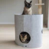 CanadianCat Company Kattenmand Owen Tower Met Krabkarton Grijs