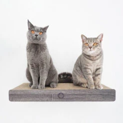 CanadianCat Company Krab Ligplaats Voor Montage Aan De Muur -Katten En Honden Benodigdheden canadiancat company krab ligplaats voor montage aa 2