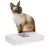 CanadianCat Company Krabmeubel 2in1 White Edition