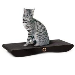 CanadianCat Company Krabmeubel Comet Black Edition