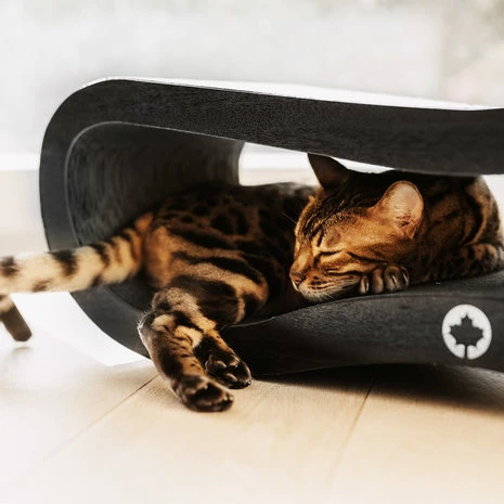 CanadianCat Company Krabmeubel Orbit Black Edition 2 CanadianCat Company Krabmeubel Orbit Black Edition - Afbeelding 2