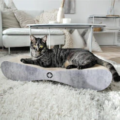 CanadianCat Company Krabmeubel Satellite 2.0 XL Beton Look