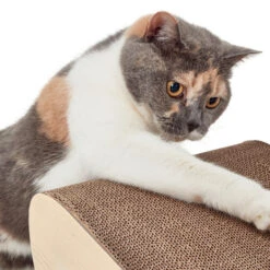 CanadianCat Company Krabmeubel Satellite 2.0 XL Nature 6 CanadianCat Company Krabmeubel Satellite 2.0 XL Nature -Katten En Honden Benodigdheden canadiancat company krabmeubel satellite 20 xl nat 2