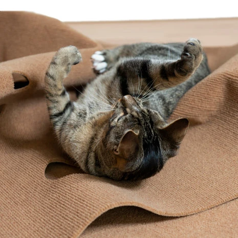 CanadianCat Company Speeltapijt Voor Katten Bruin 2 CanadianCat Company Speeltapijt Voor Katten Bruin - Afbeelding 2