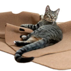 CanadianCat Company Speeltapijt Voor Katten Bruin 10 CanadianCat Company Speeltapijt Voor Katten Bruin -Katten En Honden Benodigdheden canadiancat company speeltapijt voor katten bruin 3
