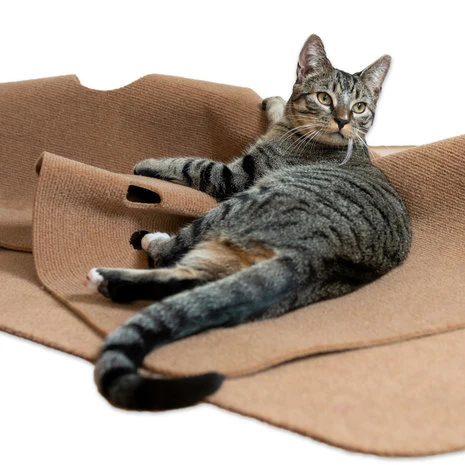 CanadianCat Company Speeltapijt Voor Katten Bruin 4 CanadianCat Company Speeltapijt Voor Katten Bruin - Afbeelding 4
