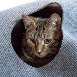 CanadianCat Company Speeltapijt Voor Katten Grijs 10 CanadianCat Company Speeltapijt Voor Katten Grijs -Katten En Honden Benodigdheden canadiancat company speeltapijt voor katten grijs 3