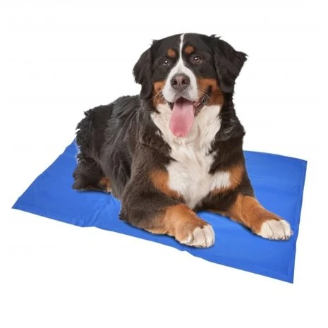 Duvo+ Gel Koelmat Voor Honden 2 Duvo+ Gel Koelmat Voor Honden - Afbeelding 2