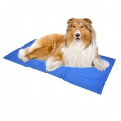 Duvo+ Gel Koelmat Voor Honden 6 Duvo+ Gel Koelmat Voor Honden -Katten En Honden Benodigdheden duvo gel koelmat voor honden 2