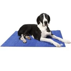 Duvo+ Gel Koelmat Voor Honden 7 Duvo+ Gel Koelmat Voor Honden -Katten En Honden Benodigdheden duvo gel koelmat voor honden 3