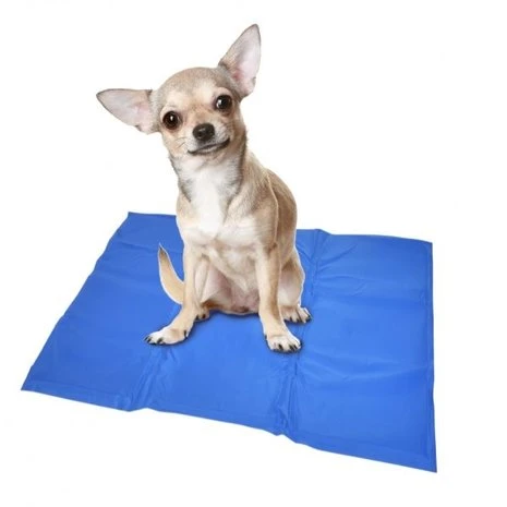 Duvo+ Gel Koelmat Voor Honden 1 Duvo+ Gel Koelmat Voor Honden