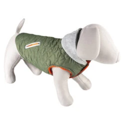 Duvo+ Hondenjas Urban