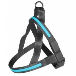 Duvo+ Hondentuig Met Verlichting USB Blauw