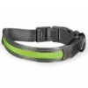 Duvo+ Metal Halsband Met Verlichting USB Groen