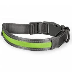 Duvo+ Metal Halsband Met Verlichting USB Groen