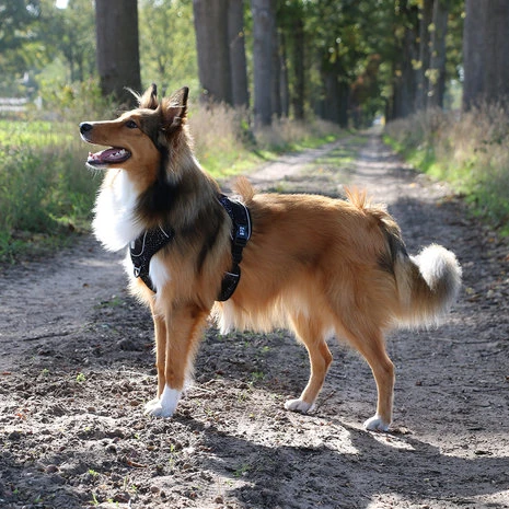 Duvo+ Ultimate Fit No-Pull Harnas Black 2 Duvo+ Ultimate Fit No-Pull Harnas Black - Afbeelding 2