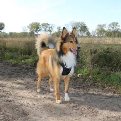 Duvo+ Ultimate Fit No-Pull Harnas Black