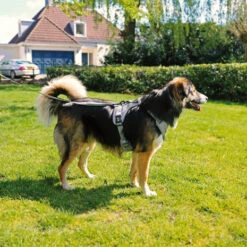 Duvo+ Ultimate Fit No-Pull Harnas Grey