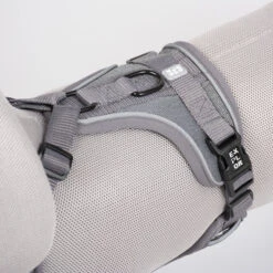 Duvo+ Ultimate Fit No-Pull Harnas Grey -Katten En Honden Benodigdheden duvo ultimate fit no pull harnas grey 4