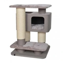 EBI Krabpaal Maine Coon Veliki Beige