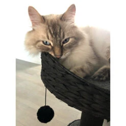 EBI Krabpaal Trend Elegance Sublime Zwart -Katten En Honden Benodigdheden ebi krabpaal trend elegance sublime zwart 2