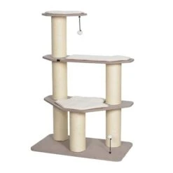 EBI Maine Coon Krabpaal Meru Beige