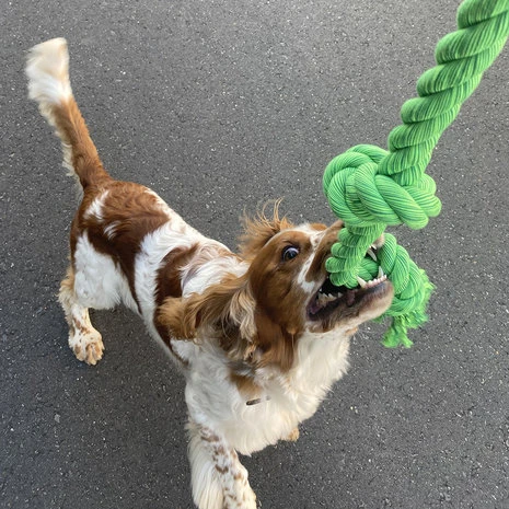 EBI Speeltouw 5 Knopen XXXXXL 2 EBI Speeltouw 5 Knopen XXXXXL - Afbeelding 2