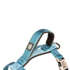 Explor North Harnas Nylon Petrol -Katten En Honden Benodigdheden explor north harnas nylon petrol 2