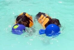 Jolly Pets Tug-n Toss Speelbal 6 Jolly Pets Tug-n Toss Speelbal -Katten En Honden Benodigdheden jolly pets tug n toss speelbal 1