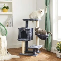 Krabpaal Amberg Donkergrijs 13 Krabpaal Amberg Donkergrijs -Katten En Honden Benodigdheden krabpaal amberg donkergrijs 6