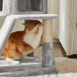 Krabpaal Wismar Lichtgrijs 11 Krabpaal Wismar Lichtgrijs -Katten En Honden Benodigdheden krabpaal wismar lichtgrijs 4