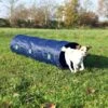 Trixie Agility Tunnel Pup En Kleine Hond