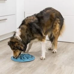 Trixie Anti Schrokbak Soft TPE