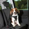 Trixie Auto Hondentuig Dog Protect