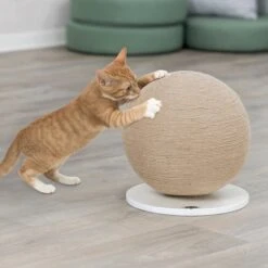 Trixie Krabbal Op Houten Plaat