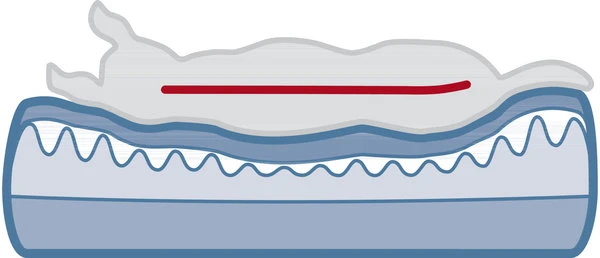 Trixie Orthopedische Mand Noah 4 Trixie Orthopedische Mand Noah - Afbeelding 4