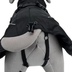 Trixie Winter Hondenjas Brizon -Katten En Honden Benodigdheden trixie winter hondenjas brizon 2